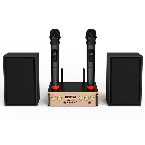 Victress Hifi Amplifier Speaker System 80W (AH-001)