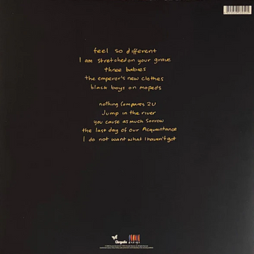 Sinead O'Connor - I Do Not Want What I Haven't Got - LP