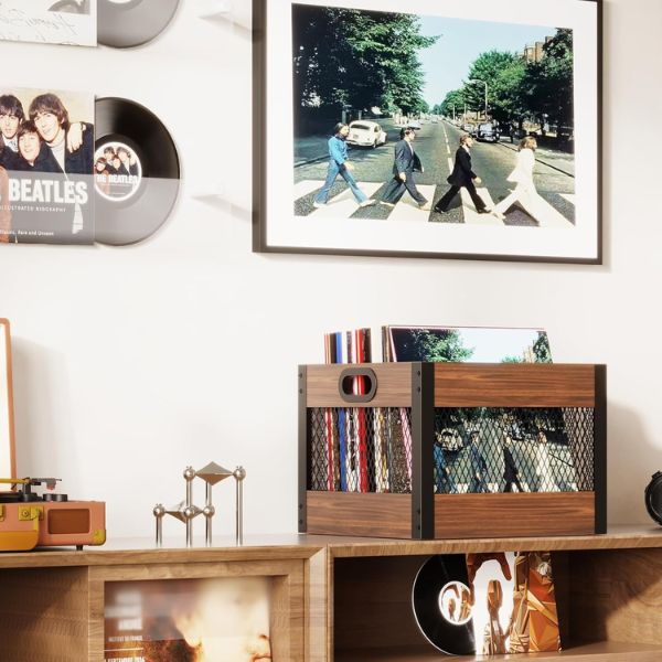 Echo Audio Vinyl Record Storage Crate, LP Collection Organizer Box Made of Plywood and Metallic Mesh, Carry Handles, 65 Records Storage Capacity, Ideal Home Decor