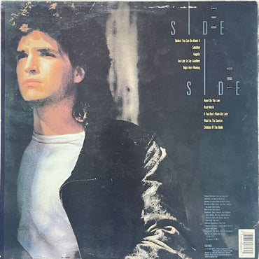 Richard Marx - Repeat Offender - LP (Used Vinyl)