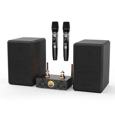 Victress Hifi Amplifier Speaker System 120W (AH-003)