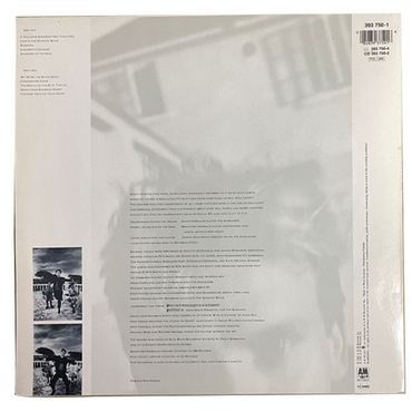 Sting - The Dream of the Blue Turtles - LP - (Used Vinyl)