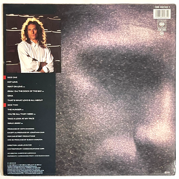 Michael Bolton - The Hunger (cover is damaged by water) - LP (Used Vinyl)