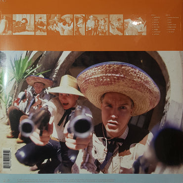 Blink 182 - Dude Ranch - LP