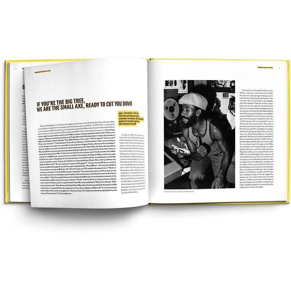 Bob Marley - Chronicle of a Legend - LP/Hardcover Book (French)