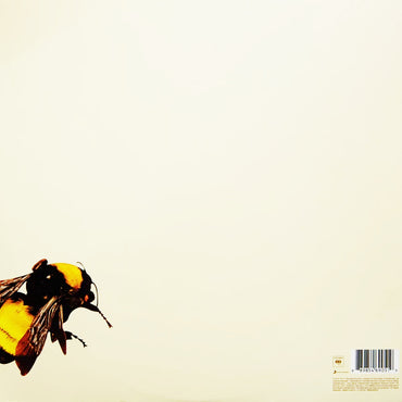 Tyler The Creator - Scum F*** Flower Boy - 2LP