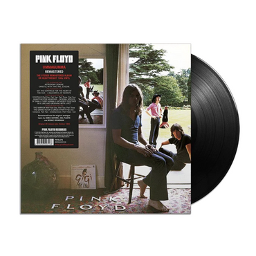 Pink Floyd - Ummagumma - 2LP