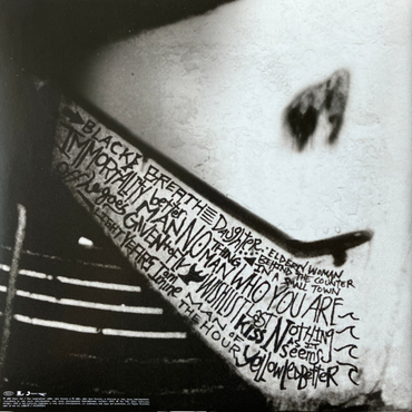 Pearl Jam - Rearviewmirror (Greatest Hits 1991-2003: Vol.2) - 2LP