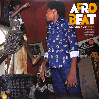 Various - Afrobeat Experience - 2LP