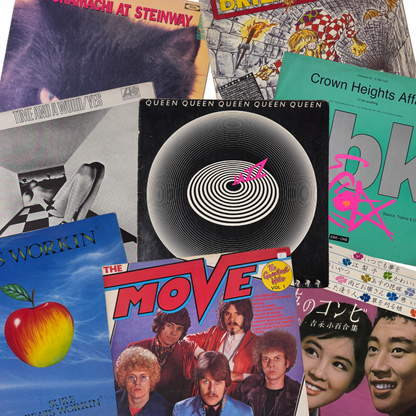 Decorative Vinyl Record Covers - Assorted (Set of 10)