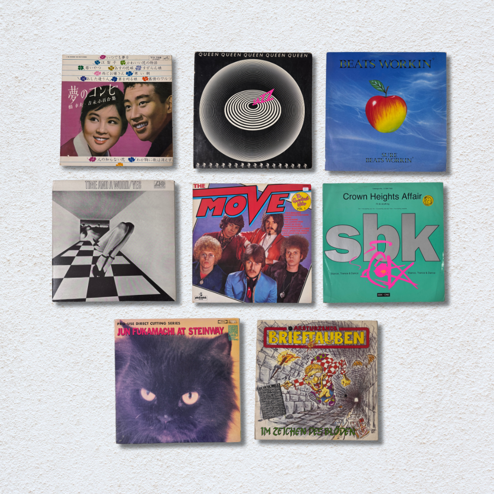 Decorative Vinyl Record Covers - Assorted (Set of 10)