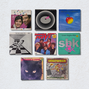 Decorative Vinyl Record Covers - Assorted (Set of 10)