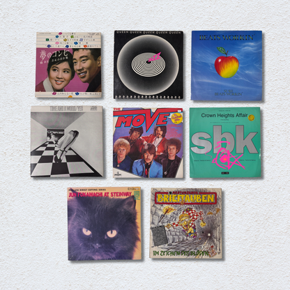 Decorative Vinyl Record Covers - Assorted (Set of 10)