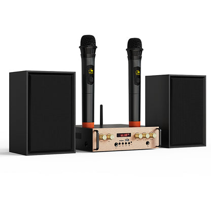 Victress Hifi Amplifier Speaker System 80W (AH-001)