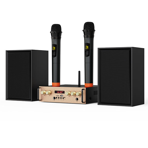 Victress Hifi Amplifier Speaker System 80W (AH-001)