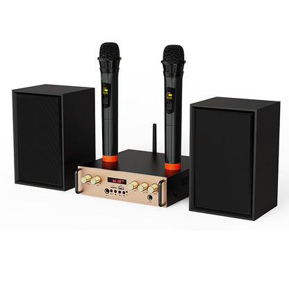 Victress Hifi Amplifier Speaker System 80W (AH-001)