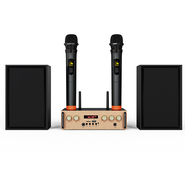 Victress Hifi Amplifier Speaker System 80W (AH-001)