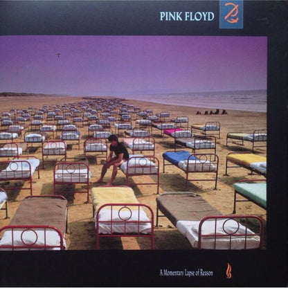 Pink Floyd - A Momentary Lapse Of Reason- LP