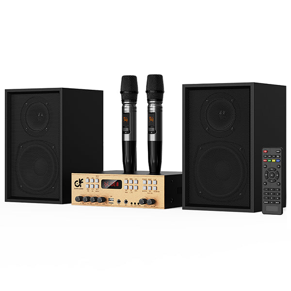 Victress Hifi Amplifier Speaker System 120W (AH-002)