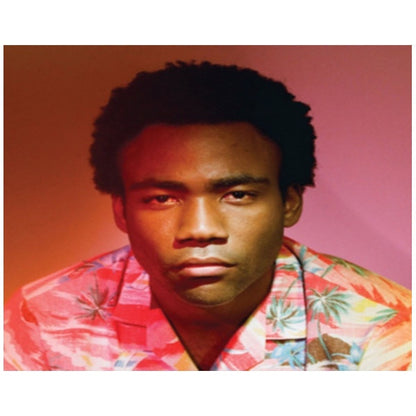 Childish Gambino - Because The Internet - CD