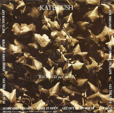 Kate Bush - The Dreaming - LP(Used Vinyl)