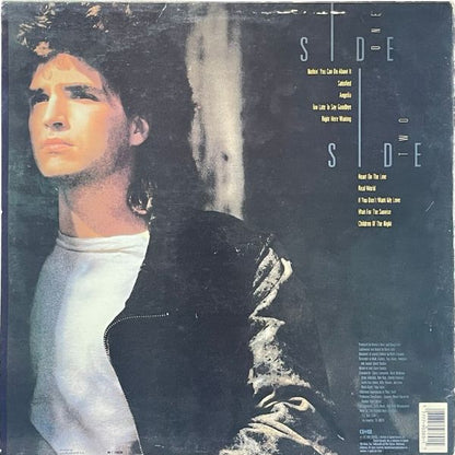 Richard Marx - Repeat Offender - LP (Used Vinyl)