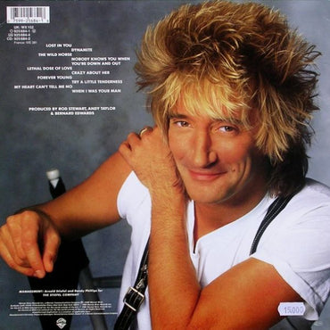 Rod Stewart - Out Of Order - LP (Used Vinyl)