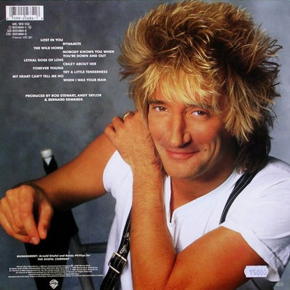 Rod Stewart - Out Of Order - LP (Used Vinyl)