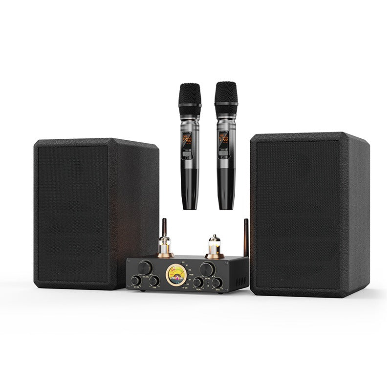 Victress  Hifi Amplifier Speaker System 120W (AH-003)