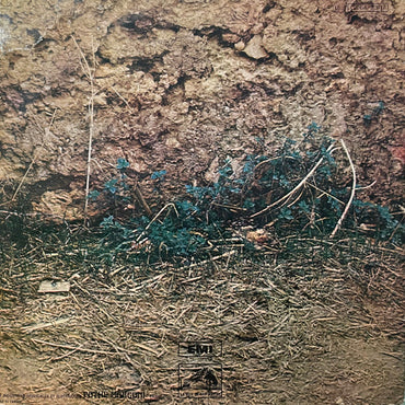 Adamo - Adamo - LP (Used Viyl)