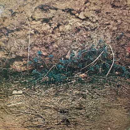 Adamo - Adamo - LP (Used Viyl)