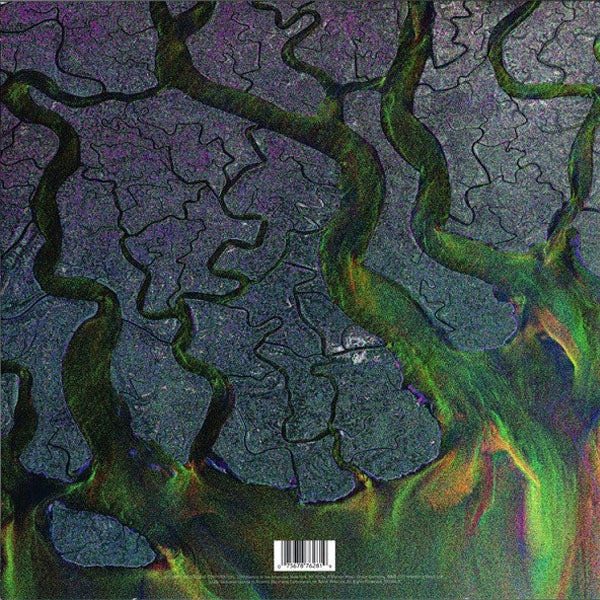 Alt-J - An Awesome Wave - LP