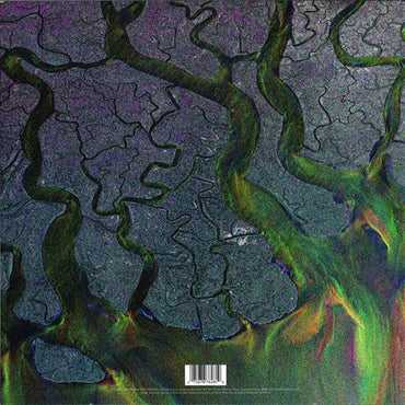 Alt-J - An Awesome Wave - LP