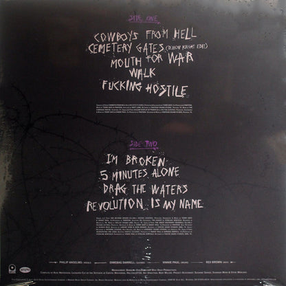 Pantera - History Of Hostility - LP