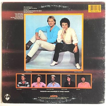 Air Supply - Now and Forever - LP - (Used Vinyl)