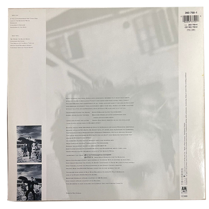 Sting - The Dream of the Blue Turtles - LP - (Used Vinyl)