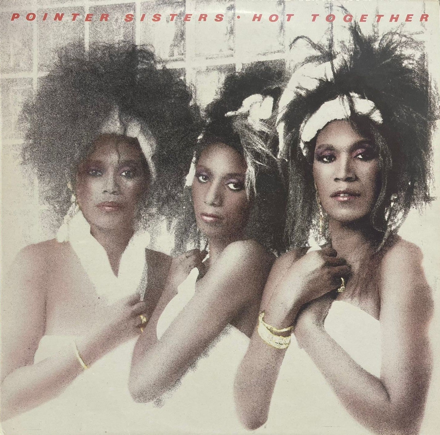 Pointer Sister - Hot Together - LP (Used Vinyl)