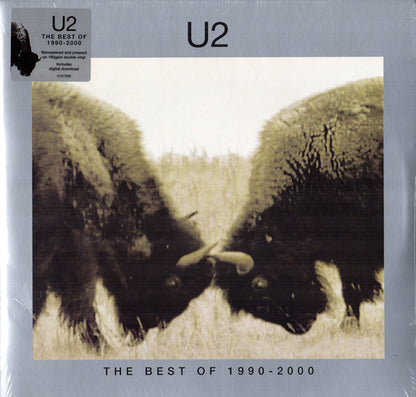 U2 - The Best Of 1990-2000 - 2LP. Now available online in UAE