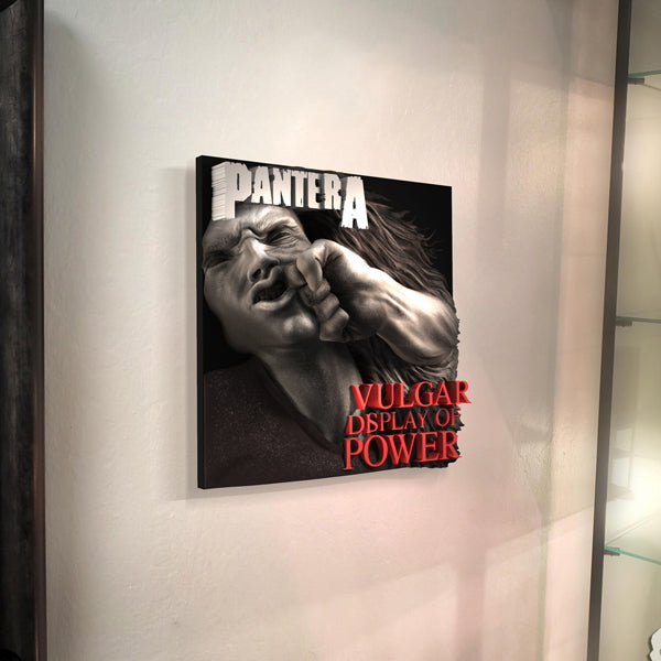 Pantera (Vulgar Display of Power) 3D Vinyl