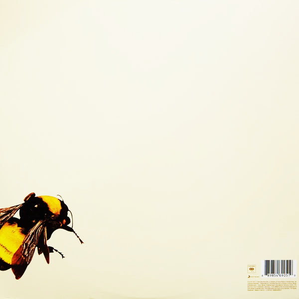 Tyler The Creator - Scum F*** Flower Boy - 2LP