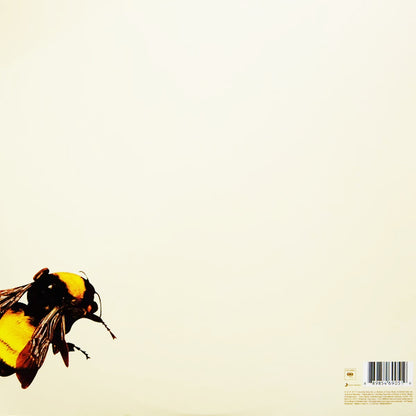 Tyler The Creator - Scum F*** Flower Boy - 2LP