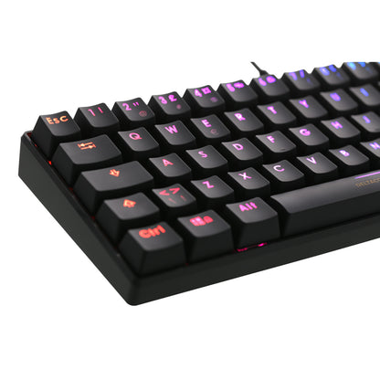 Deltaco Gaming GAM-075 DK430 RGB Red Switches TKL Size (60%) Nordic Layout Anti-Ghosting (N-Key rollover) Black Gaming Keyboard