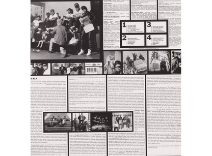 N.W.A - N.W.A. Greatest Hits - 2LP