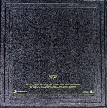 Pearl Jam - Vitalogy - 2LP