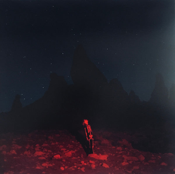 Phoebe Bridgers - Punisher - LP