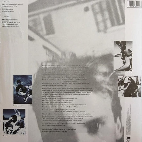 Sting - The Dream Of The Blue Turtles - LP