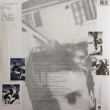 Sting - The Dream Of The Blue Turtles - LP