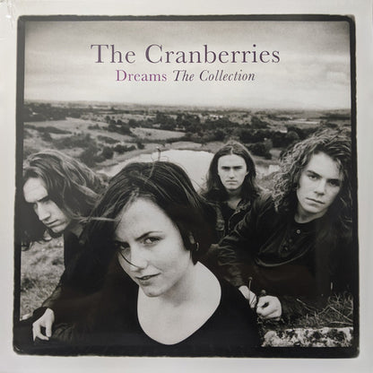 Cranberries Vinyl Records Dubai