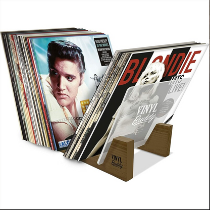 Vinyl Buddy - Vinyl Record Storage
