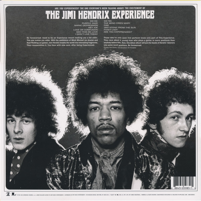 Jimi Hendrix - Are You Experienced - LP